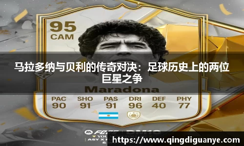 77体育官网