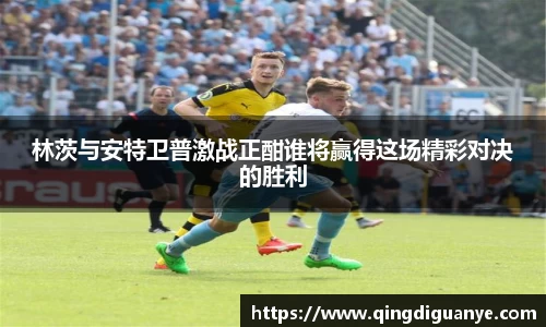 77体育官网