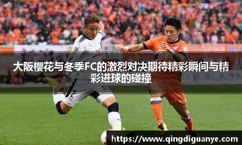 77体育官网
