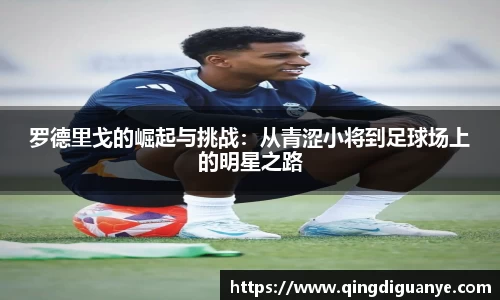 77体育app下载官网