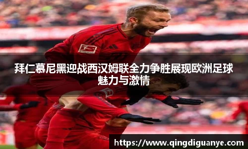 77体育app下载官网